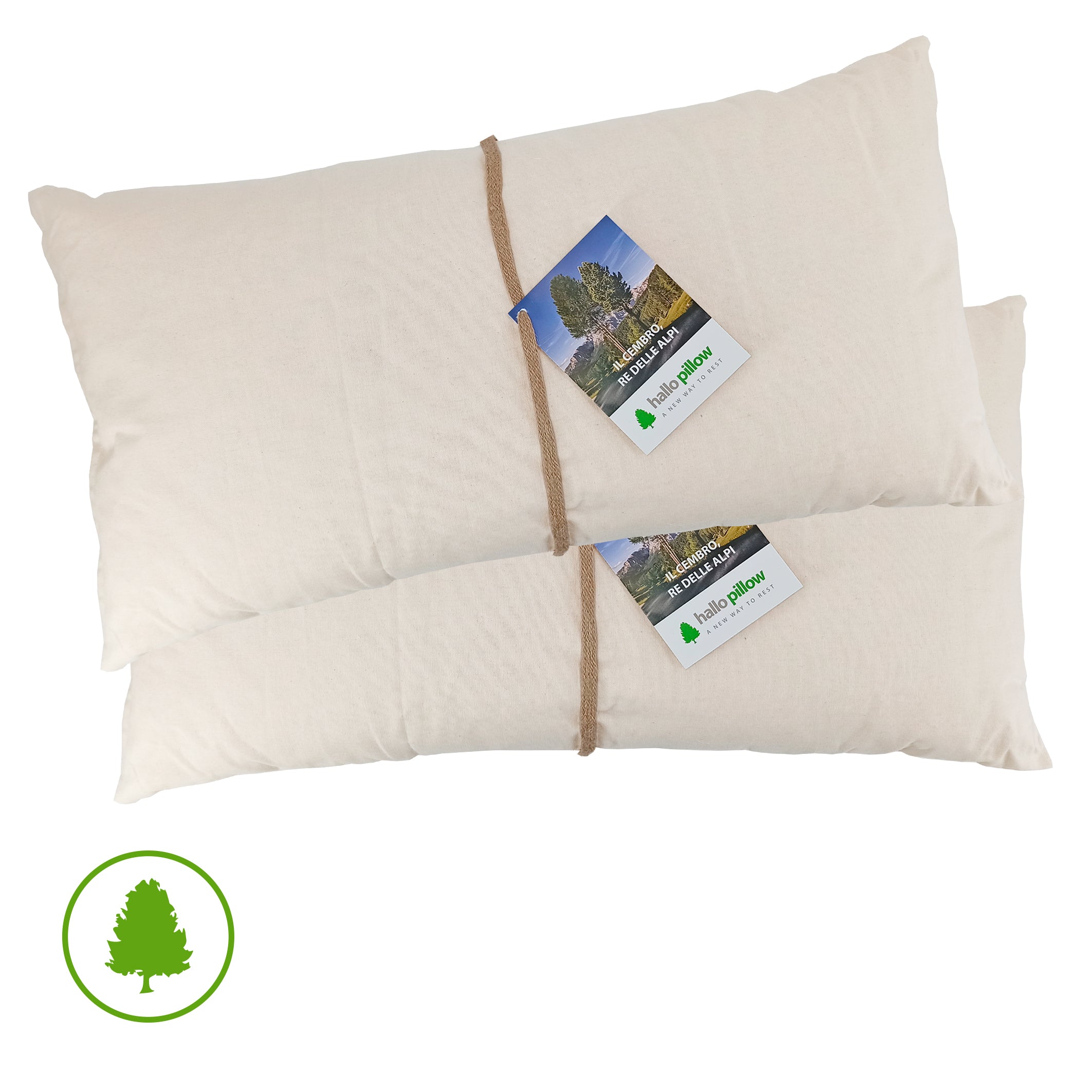 The HomeCentric Federa Cuscino Euro 60x60 Cm In Seta Art Design Nature 'Love Grows On Trees' – Bianco